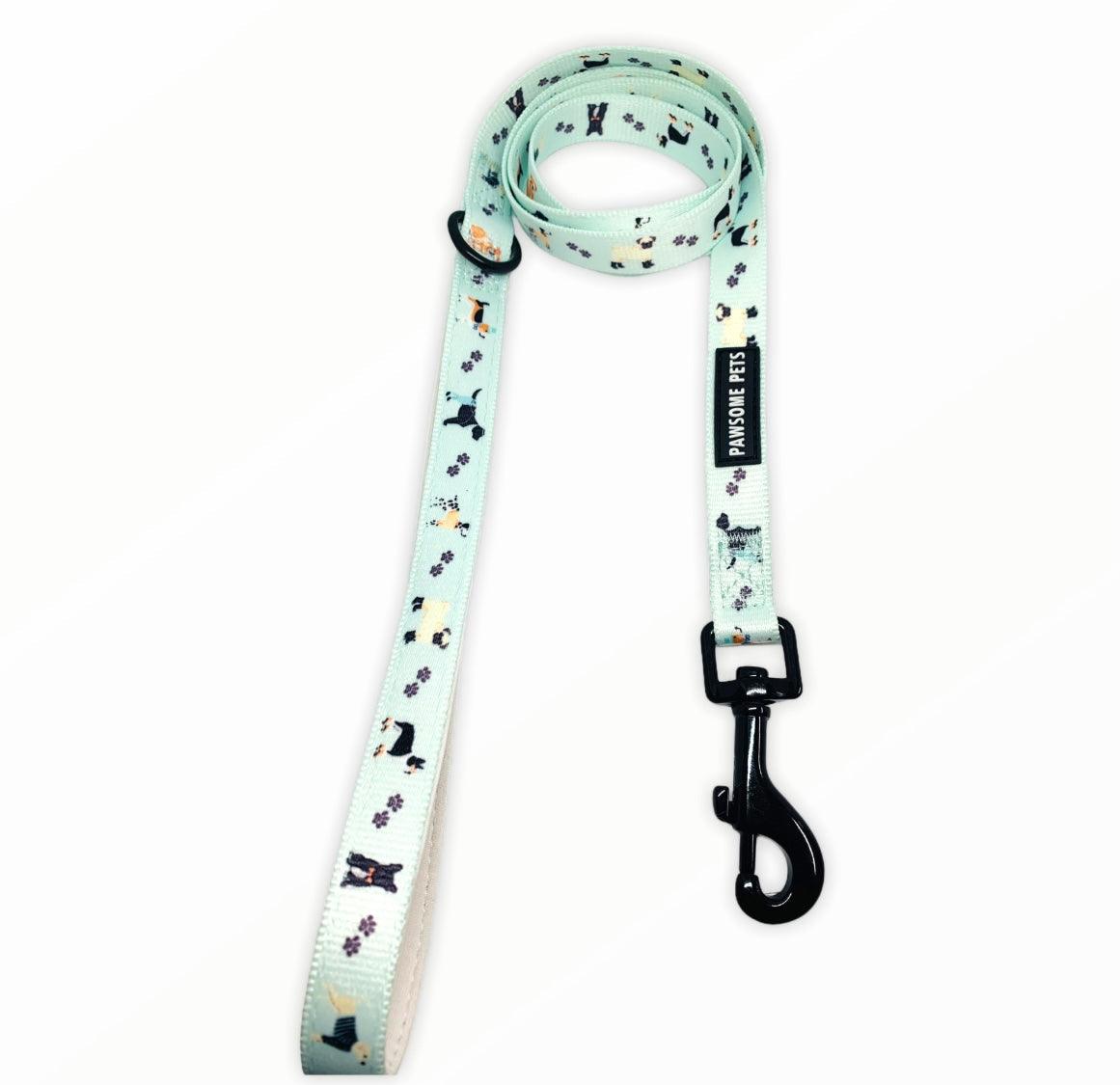 LEASH - DAPPER DOGGY
