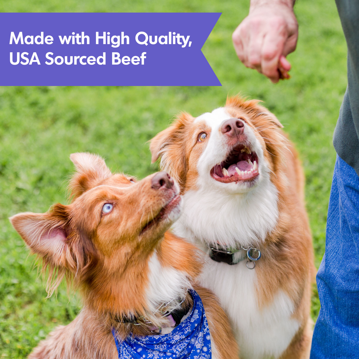 Dogswell Hip & Joint Jerky Treats, Beef (10oz)