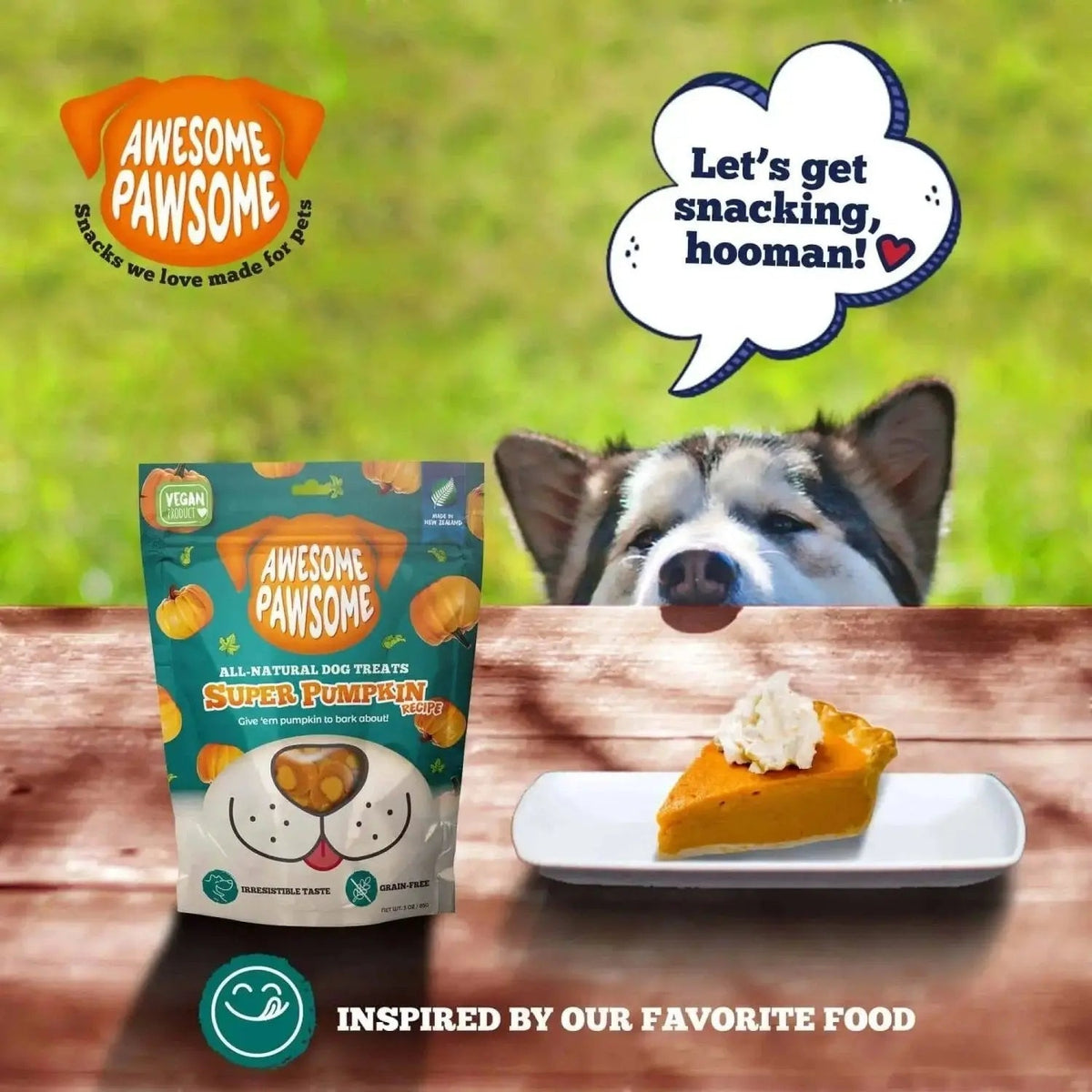 Addiction Zen Vegetarian Dog Food & Vegan Treats Bundle Addiction Pet Foods USA
