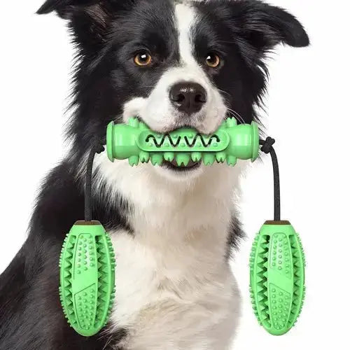 Dog Chew Toys Pet Toothbrush Rubber Bones Teeth Cleaning - Green - Toys