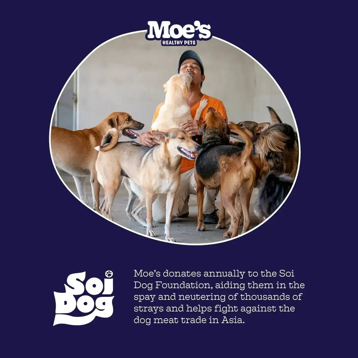 Hip & Joint Chews - True Pet Market