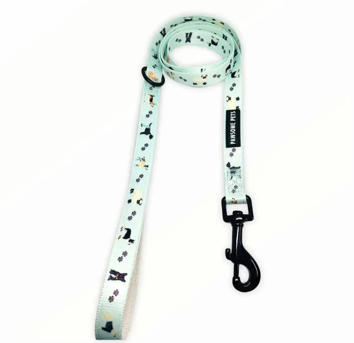 Dog Leash - DAPPER DOGGY - rope leash