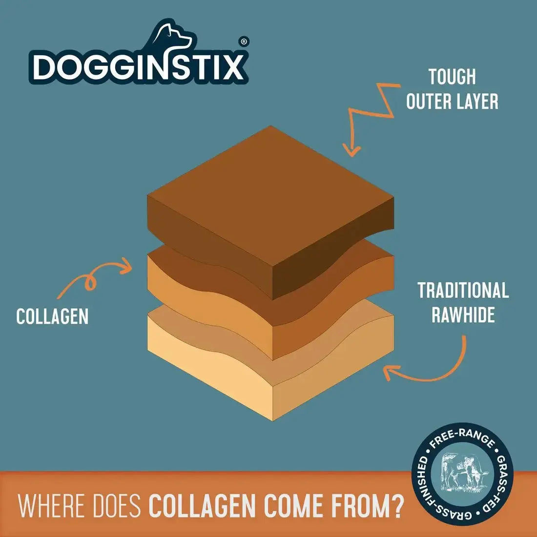 Dogginstix Braided Lamb Collagen Barbell Dog Chew – Natural, Grass-Fed, Low Fat Treat Jeffers