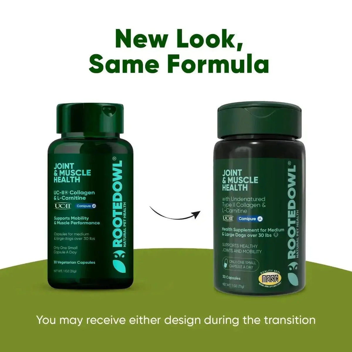 Joint & Muscle Health Rooted Owl Pet Supplements