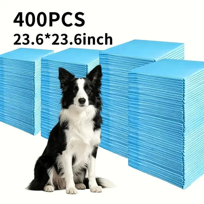 086dcda8-5e93-443a-ae5b-edc401e33e2c