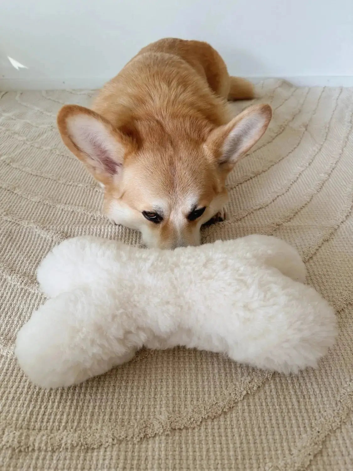 Natural wool dog toy - Bone - White - Dog Toy