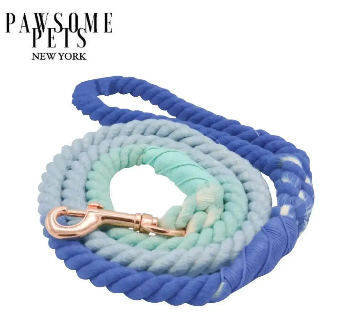 Rainbow Rope Leash - Oceanside Rainbow - rope leash