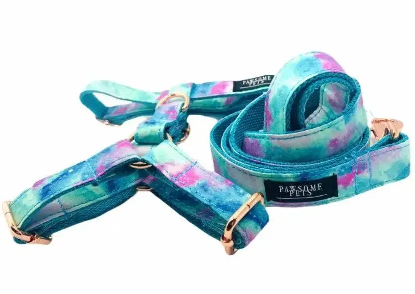 Step In Harness Bundle - Sky (2 Pieces) - rope leash