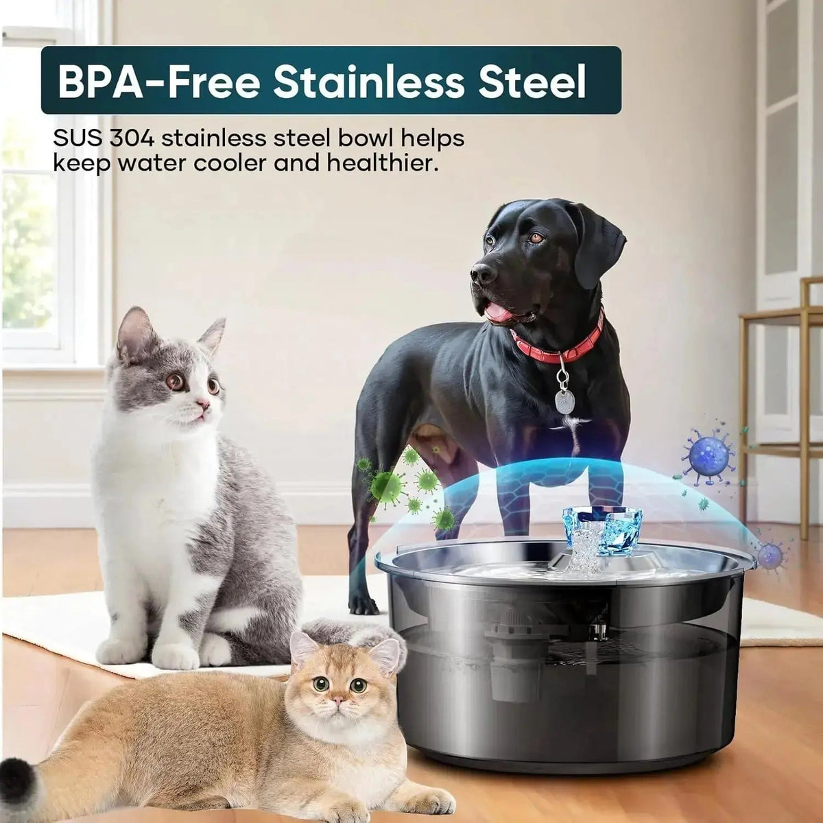 10L Pet Water Fountain for Dogs Cats & Multiple Pets D2340 - n/a