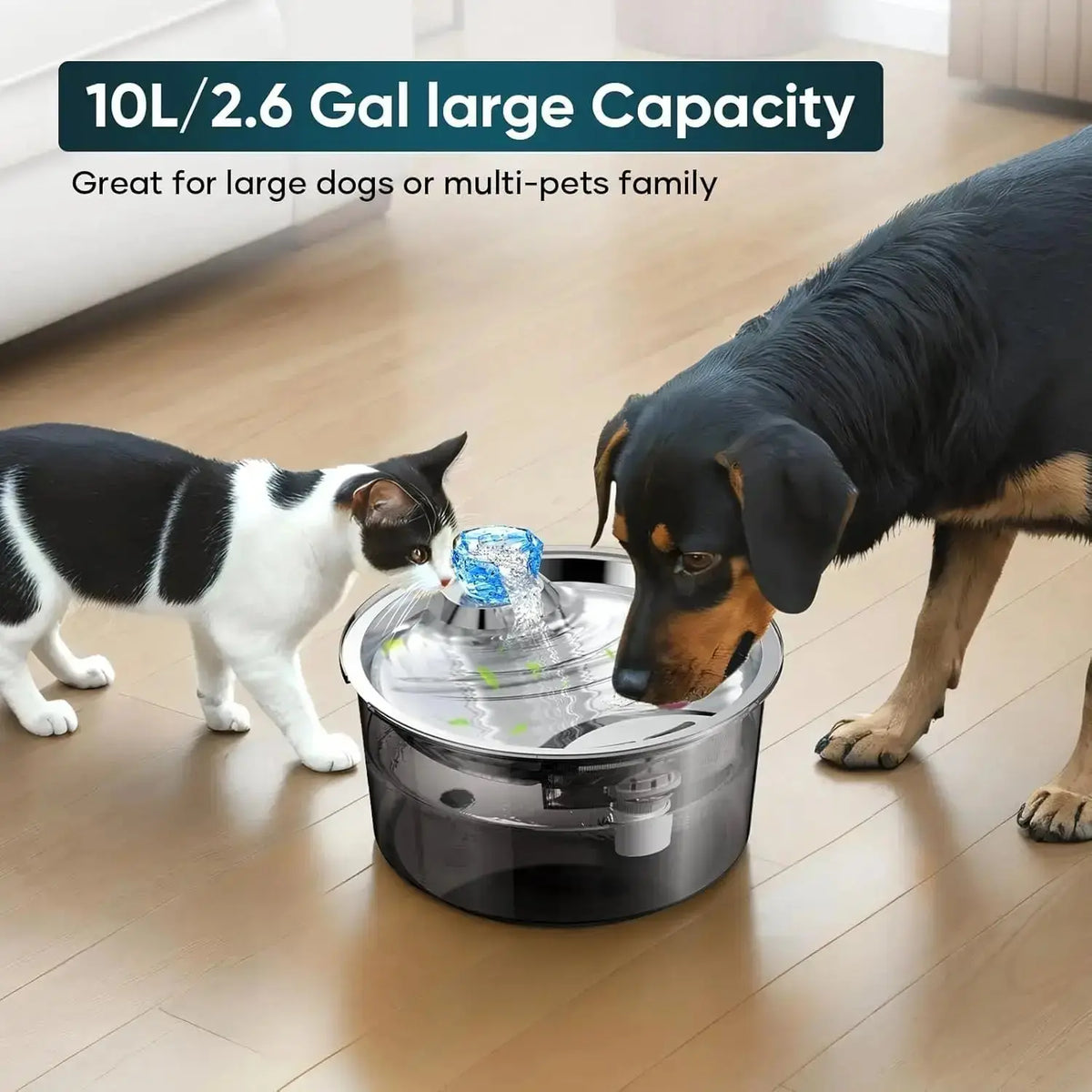 10L Pet Water Fountain for Dogs Cats & Multiple Pets D2340 - n/a