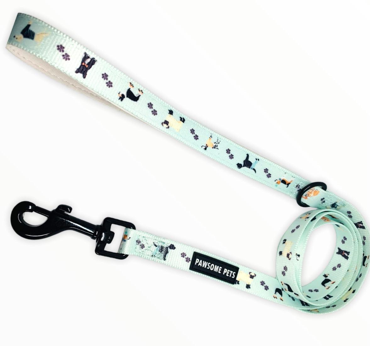 LEASH - DAPPER DOGGY
