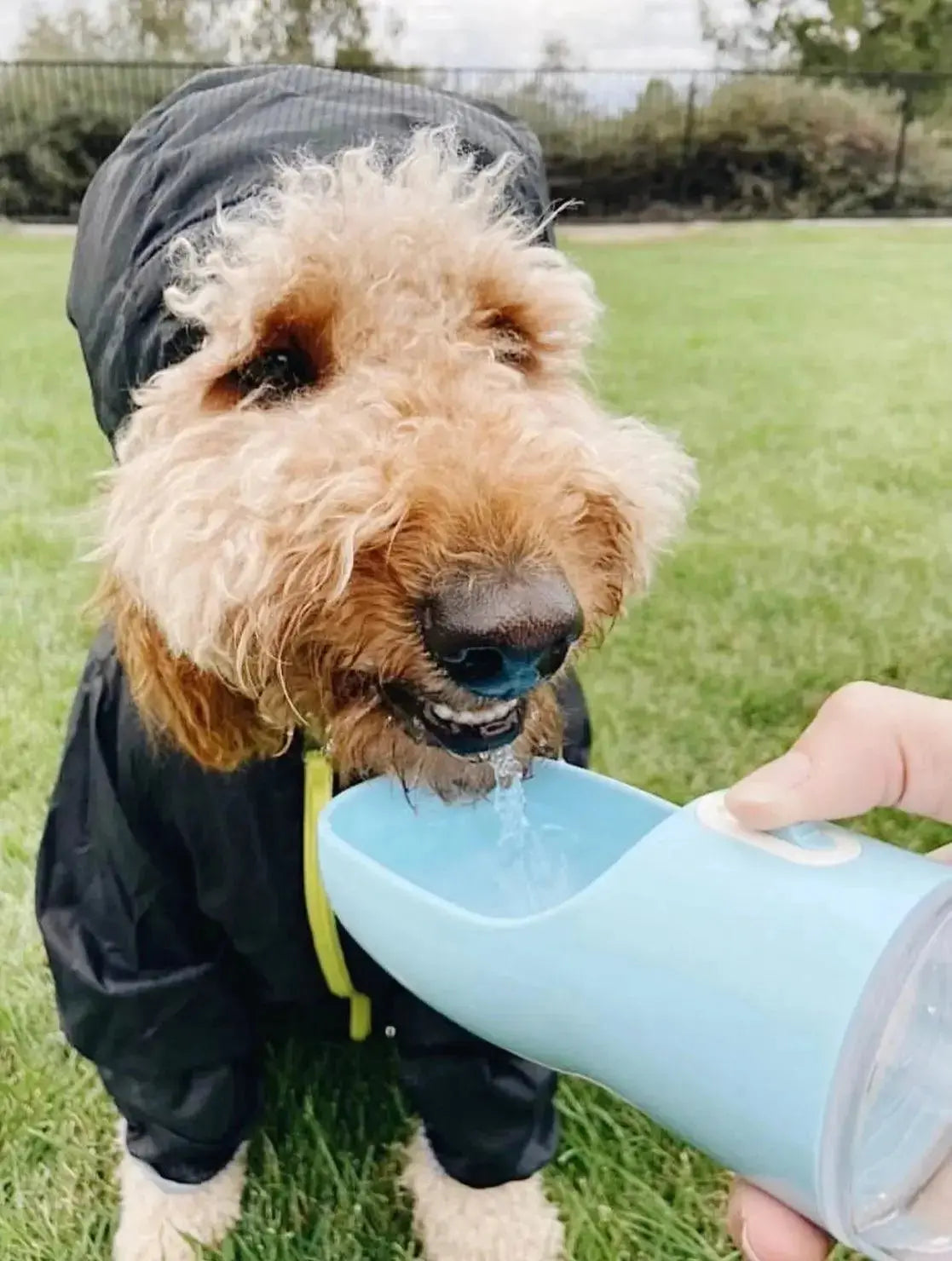 2 in 1 Portable Pet Feeder - Blue - Dog Apparel