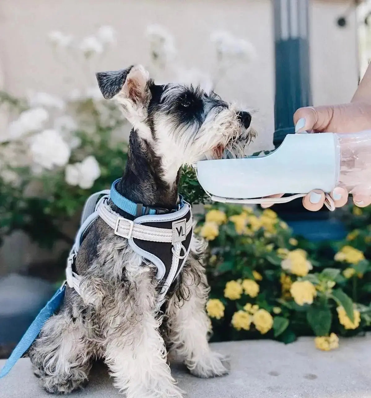 2 in 1 Portable Pet Feeder - Light Grey - Dog Apparel