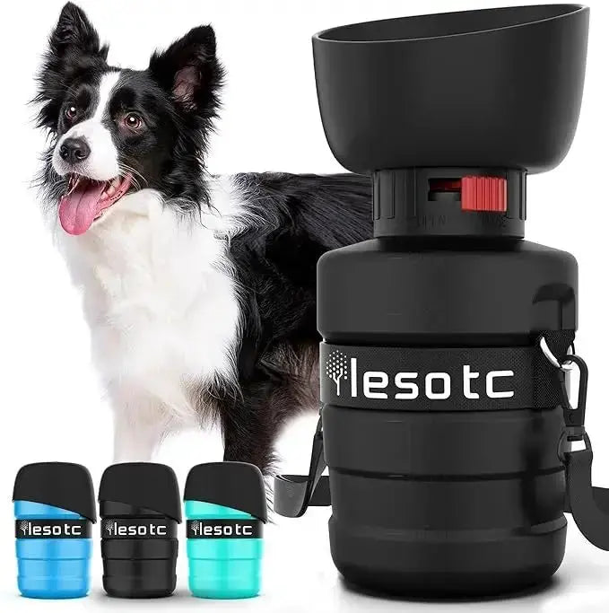 21oz Portable Dog Water Bottle Dispenser - 3.5Gen - Black - Pet Water Bottle