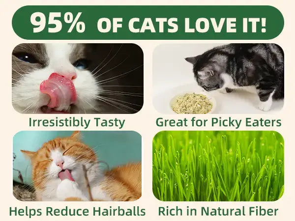 Wellix Dog & Cat Freeze-Dried Food Topper, Cat Grass, Chicken & Egg Yolk, Hairball Support, 7.5 OZ #Sohochic