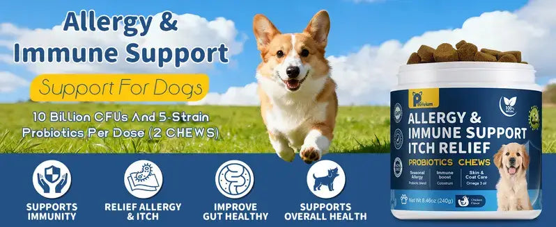 Petrivium Probiotic Chews for Dogs, 120 Count, Chicken Flavor