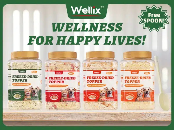 Wellix Dog & Cat Freeze-Dried Food Topper, Cat Grass, Chicken & Egg Yolk, Hairball Support, 7.5 OZ #Sohochic