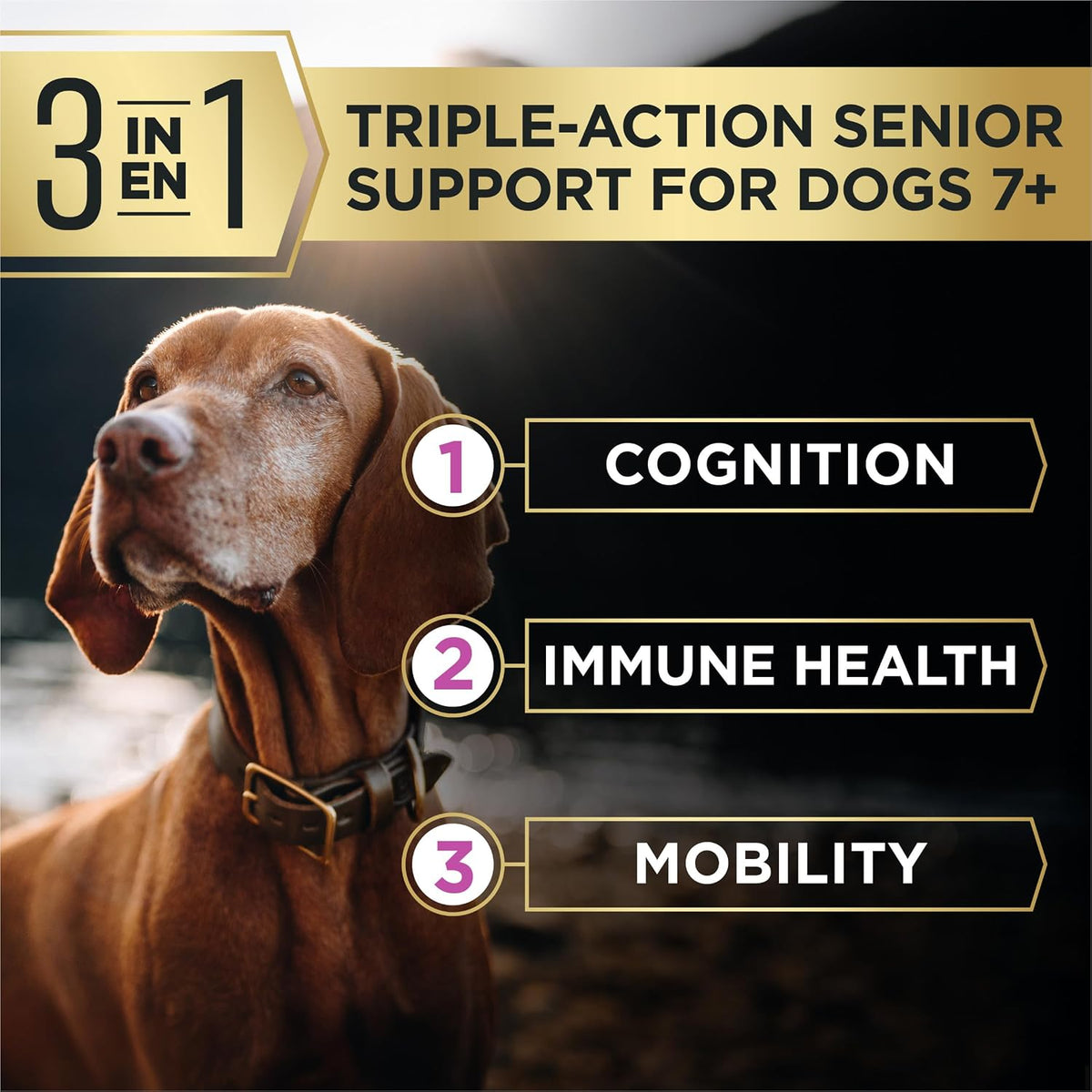 Purina Pro Plan Advantedge Senior Support 7+ Dry Dog Food, 3.5 Lb Bag