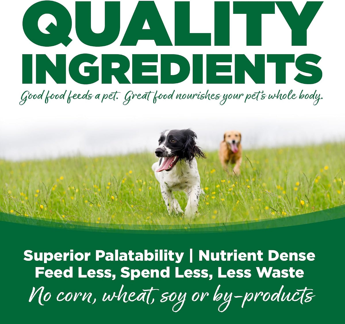 Dry Dog Food, Turkey and Rice, 4LB