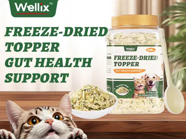 Wellix Dog & Cat Freeze-Dried Food Topper, Cat Grass, Chicken & Egg Yolk, Hairball Support, 7.5 OZ #Sohochic