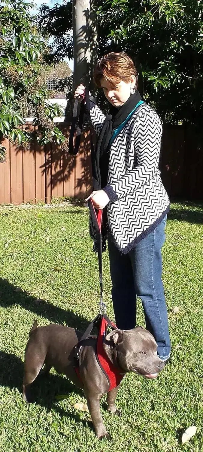 Dog Leash 6Ft Long,Traffic Padded Two Handle,Heavy Duty,Reflective Double Handles Lead for Control Safety Training,Leashes for Large Dogs or Medium Dogs,Dual Handles Leads(Black)