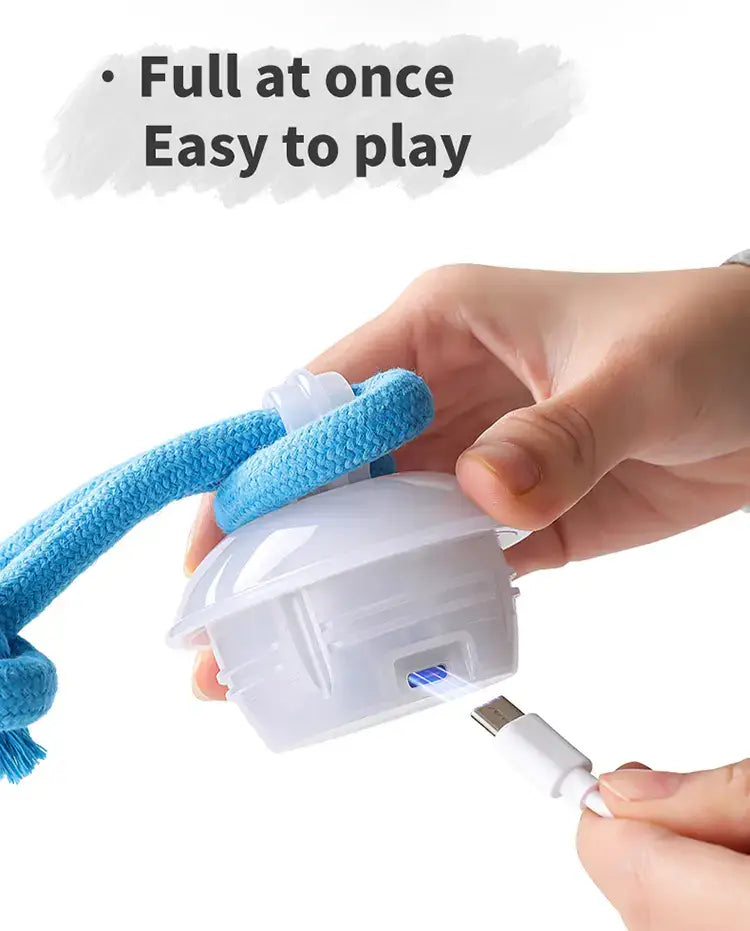 Interactive Dog Toy Ball with Motion Activation and Squeaker, for Small Dogs and Cats (2.95 × 2.95 × 4.33 in)