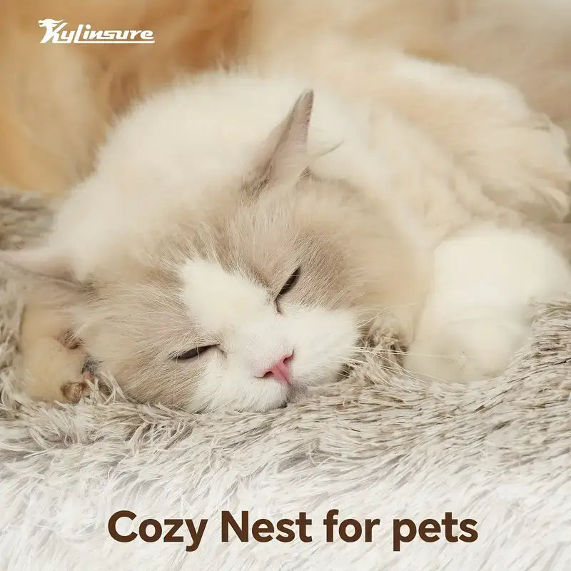 Donut Pet Bed for Joint Support and Restful Pet Sleep