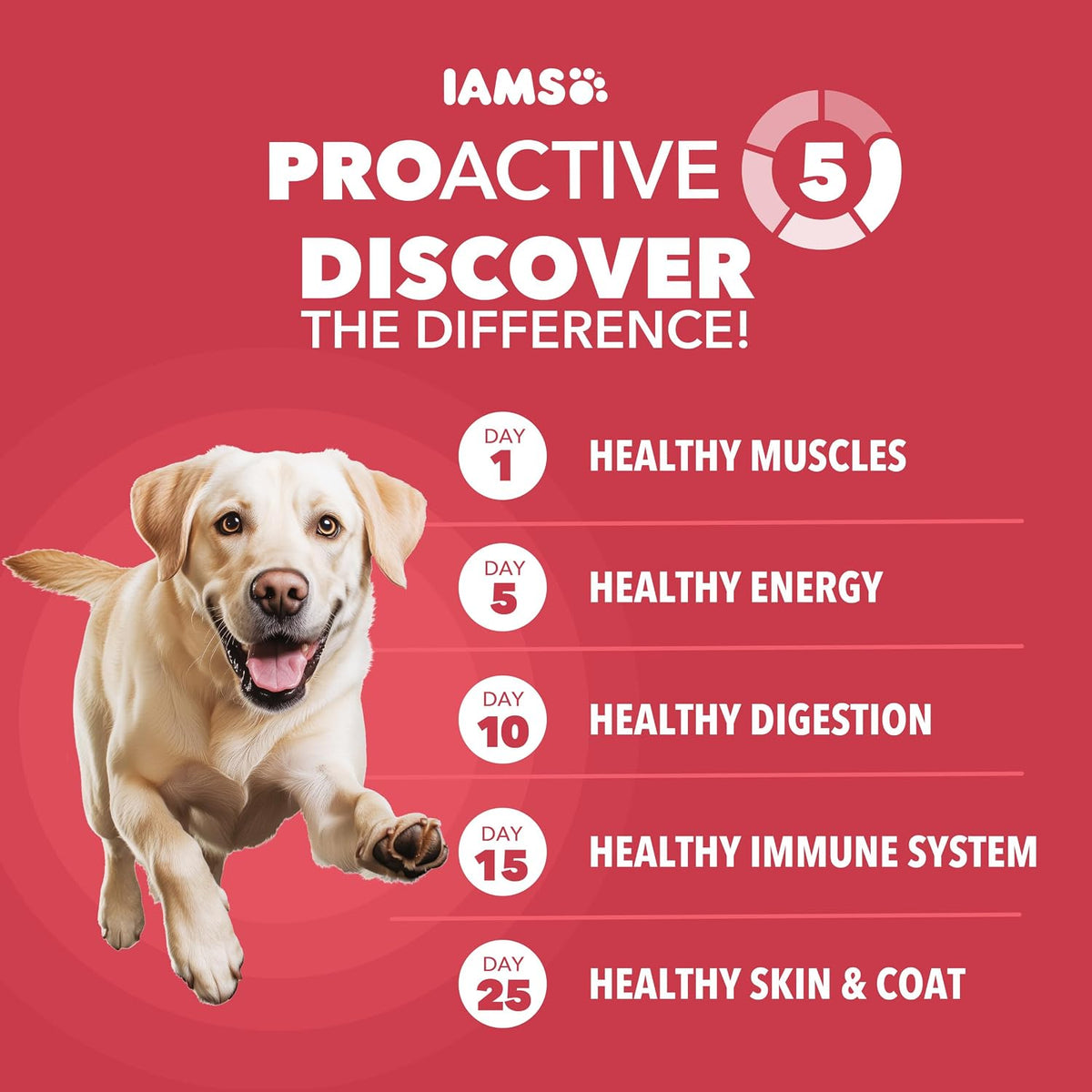Proactive Health Large Breed Dry Dog Food, Lamb & Rice, 40 Lb