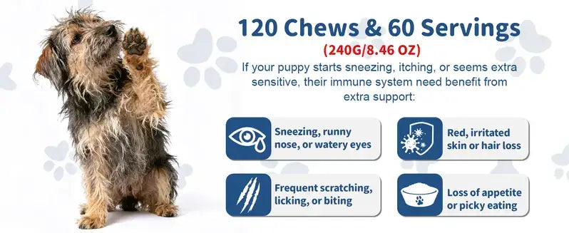 Petrivium Probiotic Chews for Dogs, 120 Count, Chicken Flavor