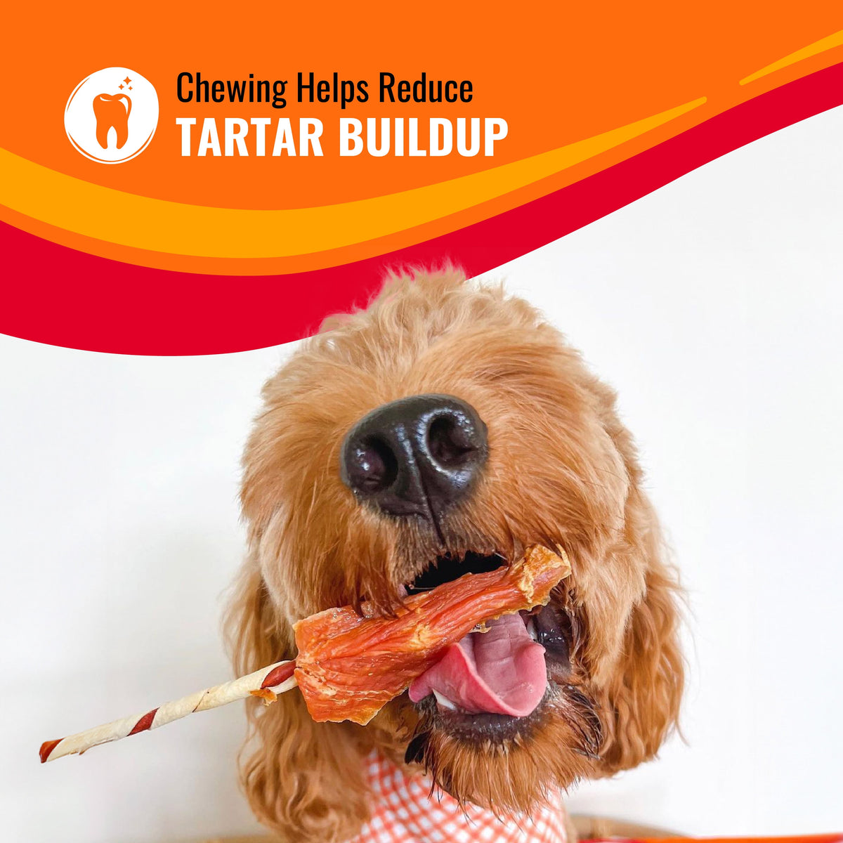 Triple Flavor Kabobs, Rawhide Chews for All Dogs, 48 Oz