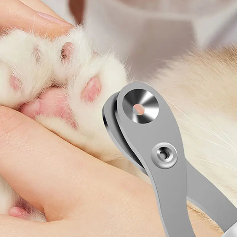 Pet Nail Clippers for Painless Professional Home Grooming