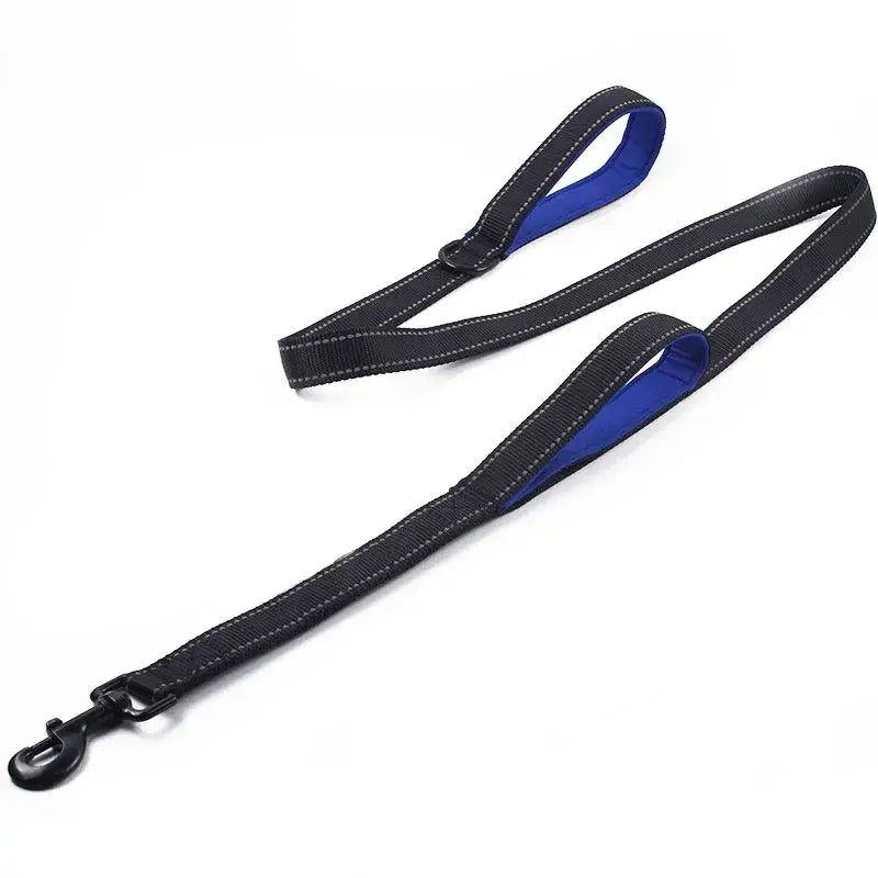 Dual Handle Dog Leash for Total Control and Safety