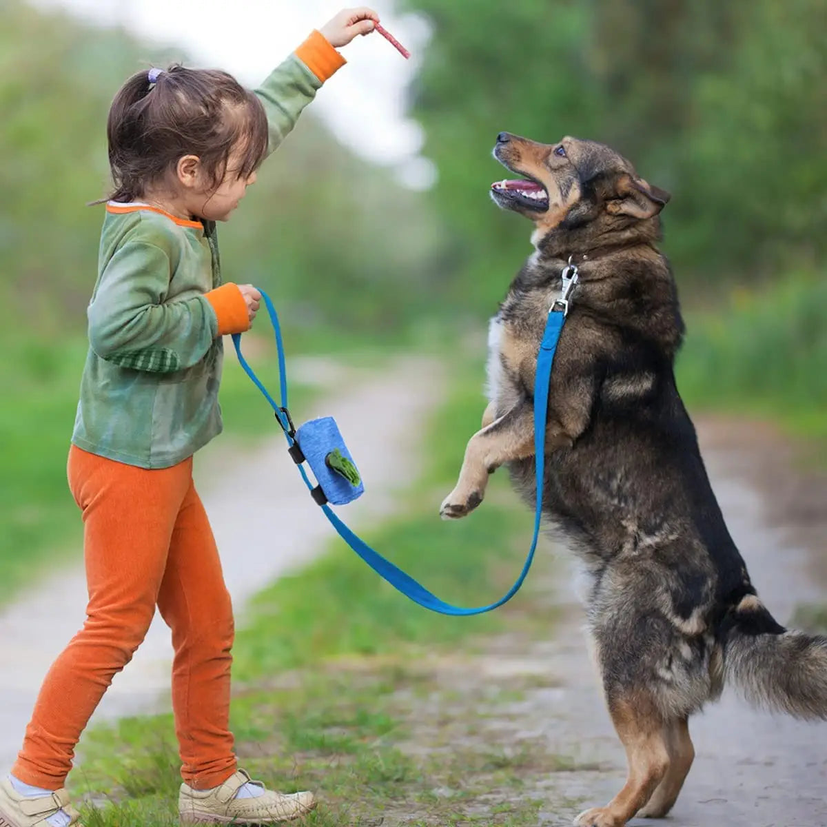 Pet Dog Poop Bag Dispenser Storage Bag Products Pet Waste Bags Carrier Dog Walking Accessories Cleaning Supplies