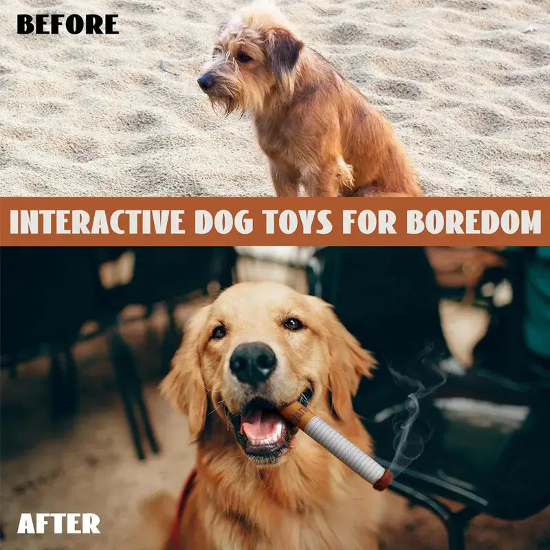 Squeaky cigarette dog toy for interactive play
