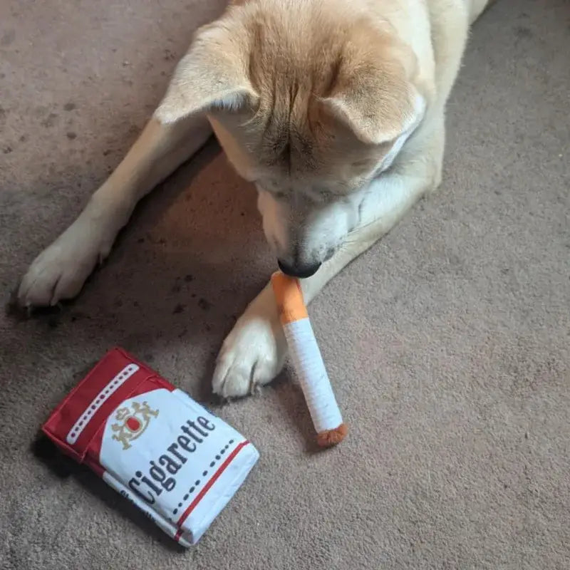 Squeaky cigarette dog toy for interactive play