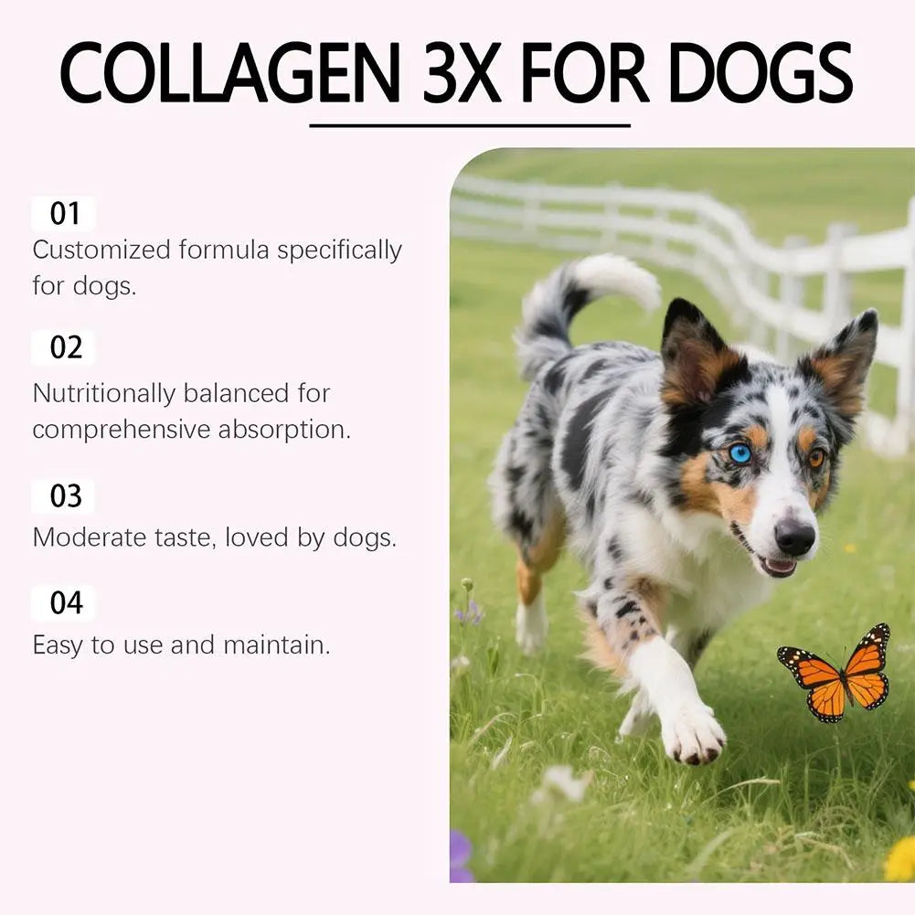 Liquid Collagen for Dogs, 60ml Pet Nutritional Supplement