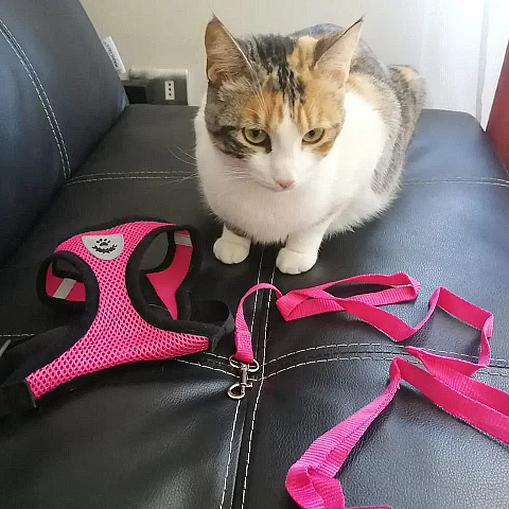 Reflective Pet Harness Vest and Leash Set for Safety