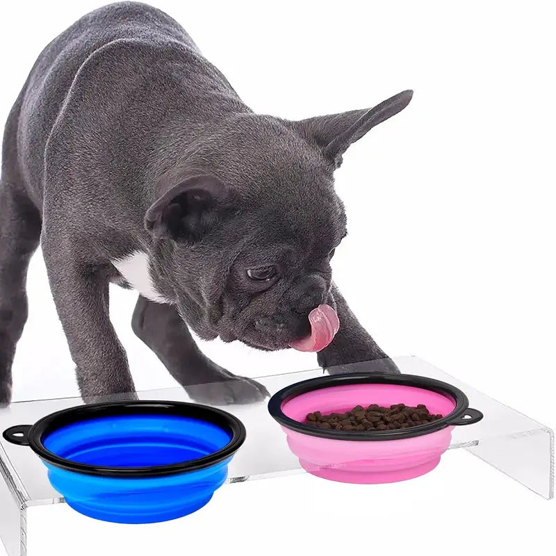 Portable silicone pet bowl for hydration on demand