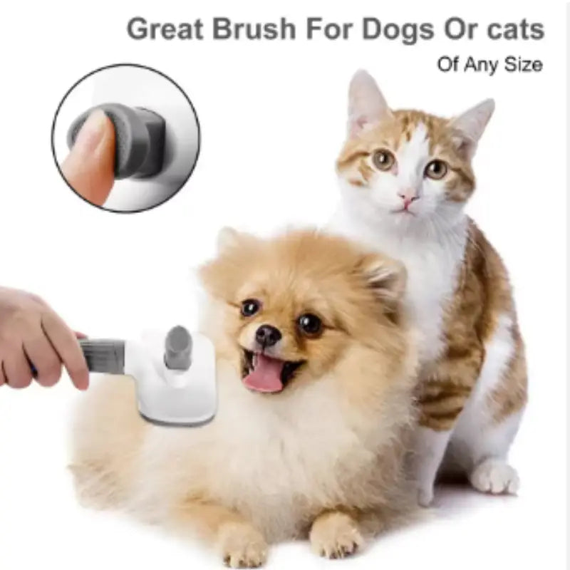 Pet Grooming Brush for Gentle Fur Detangling