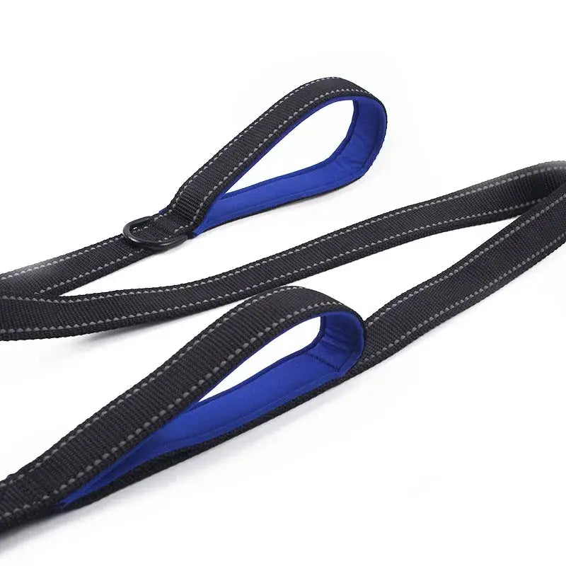 Dual Handle Dog Leash for Total Control and Safety