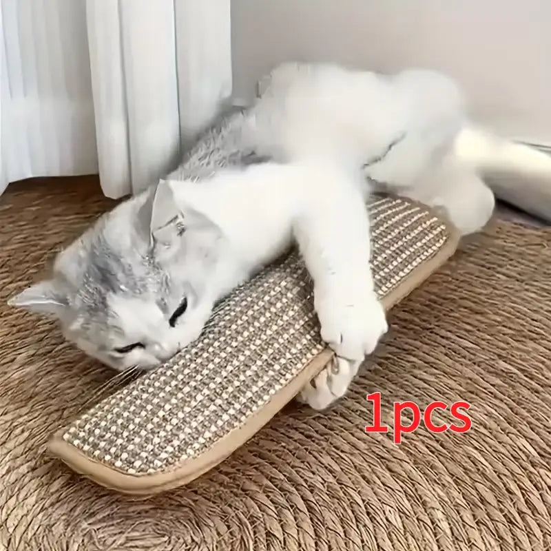 at Toy Game Pillow and Cat Scratching Pad for Solo Play and Intimate Interaction to Keep Your Feline Friend Happy