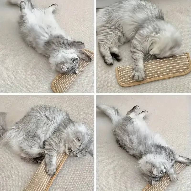 at Toy Game Pillow and Cat Scratching Pad for Solo Play and Intimate Interaction to Keep Your Feline Friend Happy