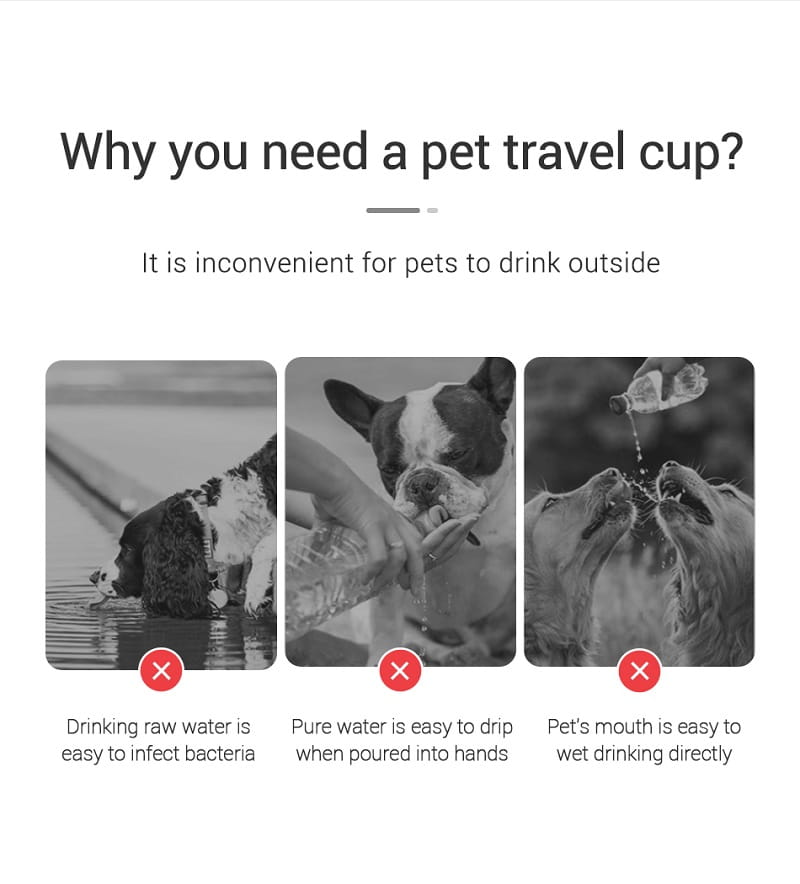 Portable Dog Water Bottle For Small Large Dogs Cat Outdoor Leakproof Walking Drinking Bowls Chihuahua French Bulldog