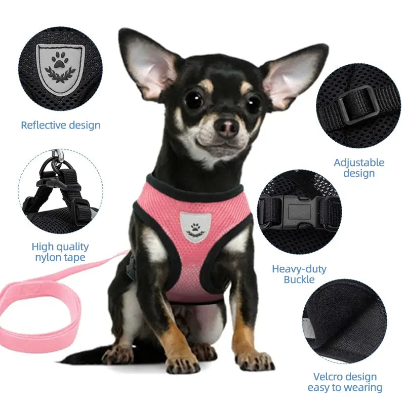 Reflective Pet Harness Vest and Leash Set for Safety