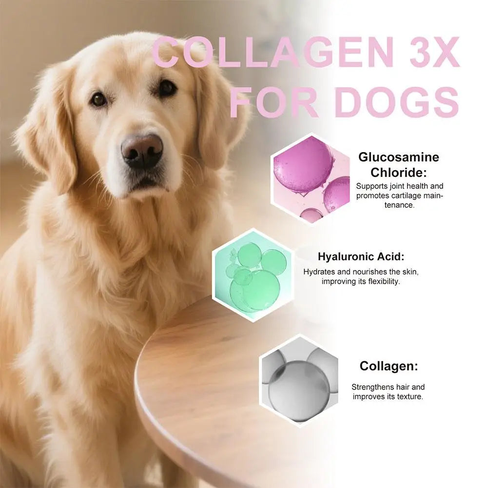 Liquid Collagen for Dogs, 60ml Pet Nutritional Supplement