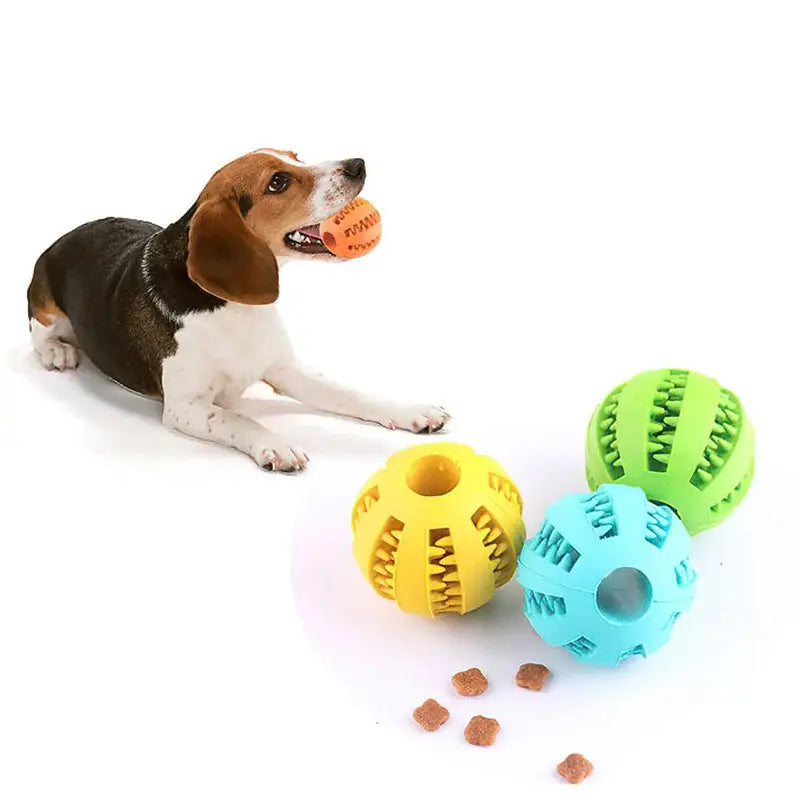 Dental Health Dog Ball That Dispenses Treats