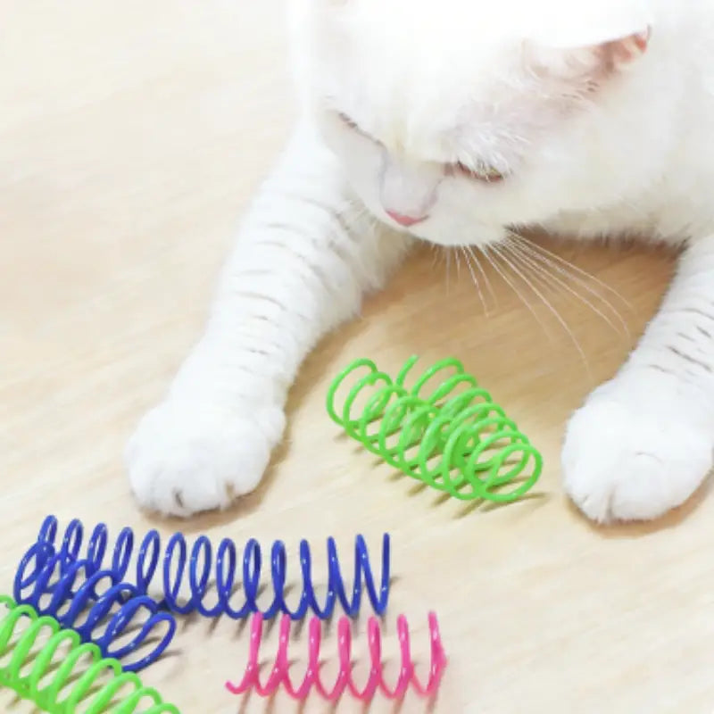 Cat Spring Toy for Daily Hunting and Active Exercise