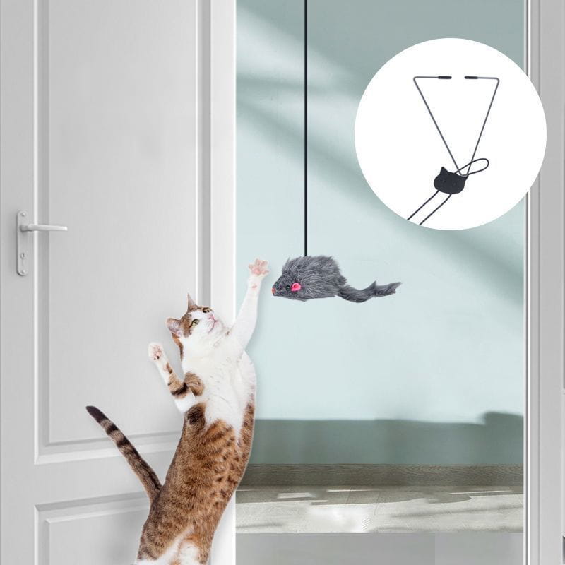 Hanging Door Cat Toy for Endless Engaging Playtime