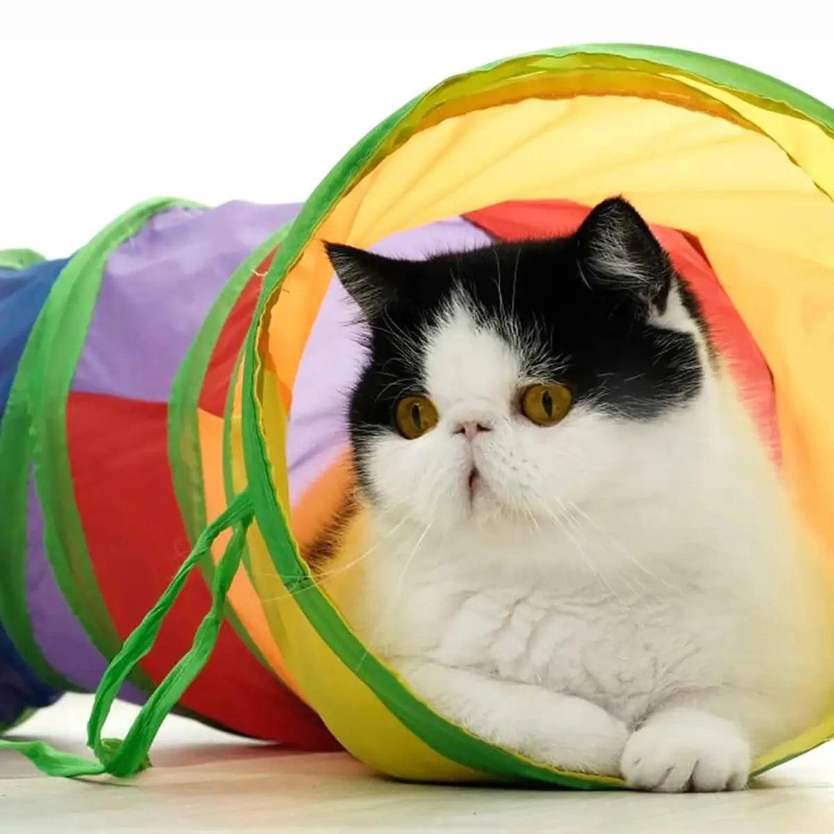 Collapsible Cat Tunnel for Active Play and Restful Hiding