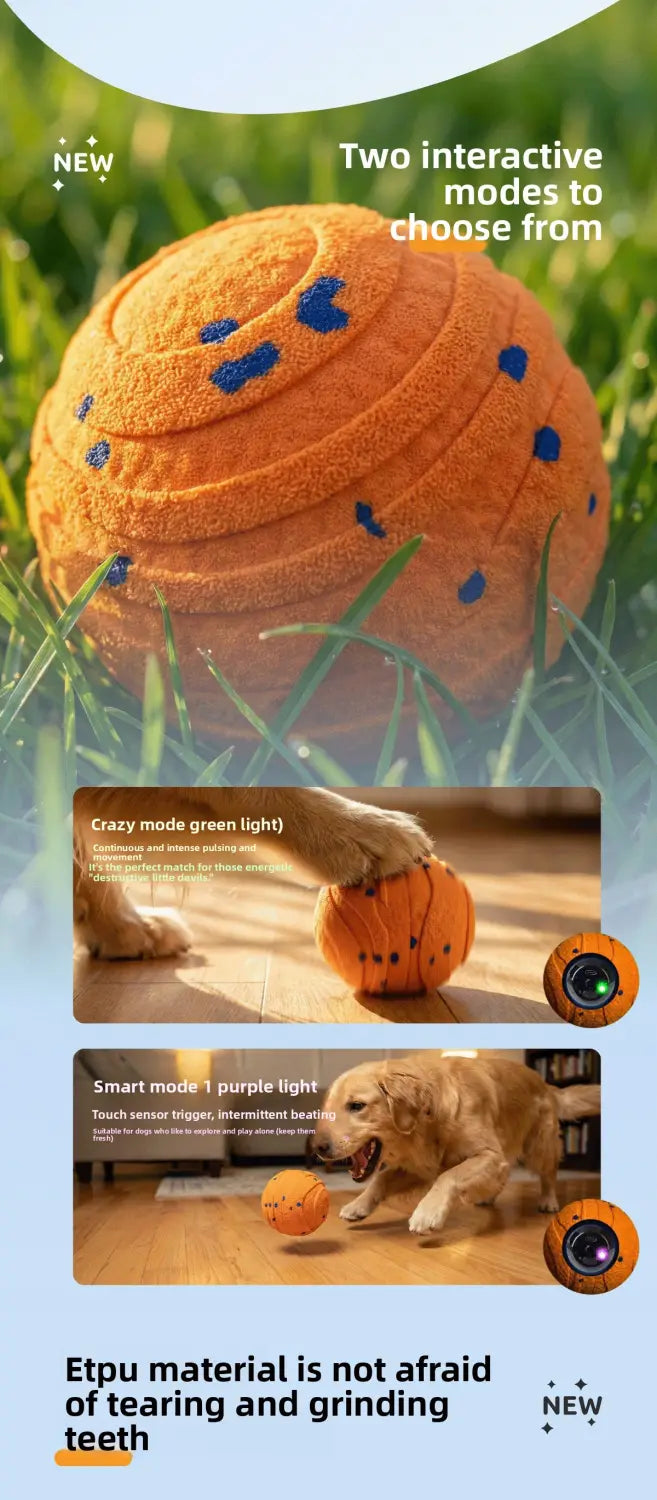 Rechargeable Interactive Dog Ball for Active Healthy Play